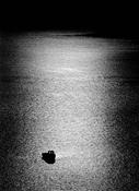 Solitude '88