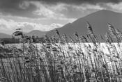 Killarney lakes image