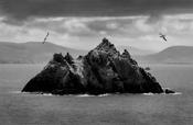 Little Skellig