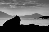 Seascape