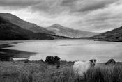 The Black Valley image
