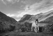Gap of Dunloe image