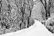 Kinsale Under Snow image