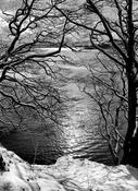Kinsale Under Snow image