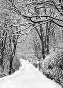 Kinsale Under Snow