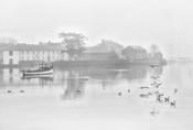 Misty Morning image