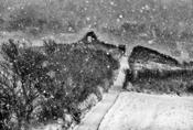 Kinsale Under Snow image
