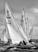 Kinsale Dragons