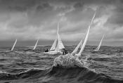 Kinsale Dragons