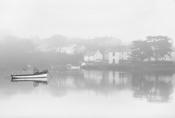 Misty Morning