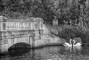 Hyde Park image
