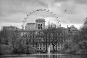 St James Park image