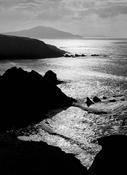 Mayo image