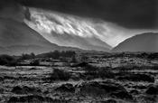 Mayo image