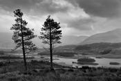Lough Mask image