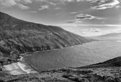 Mayo image