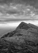 Moyteoge Head