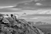 Achill Island image