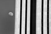 New York Moon