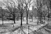 Central Park image