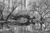 Central Park