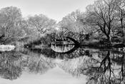 Central Park