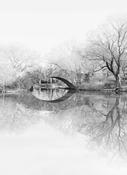 Central Park