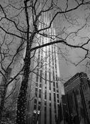 New York Building