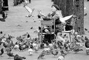 Pigeon Lady image