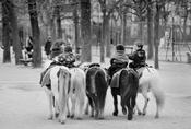 Luxembourg Gardens image