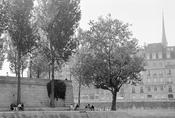 Along the Seine image
