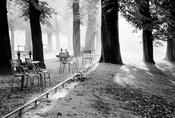 Luxembourg Gardens image