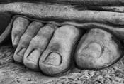 Five toes