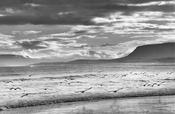 Sligo seagulls image