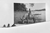 Bangkok Gallery image