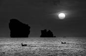 Moonlight &amp; Long-Tails
