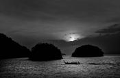 Moonlight &amp; Long-Tails