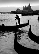 Gondolier image