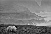 Mizen head image