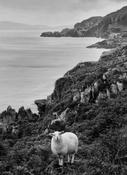 Beara Peninsula image