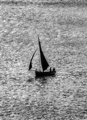Sailing Boat