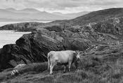 Beara Peninsula