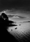 Glandore Harbour