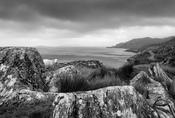 Beara Peninsula and Sheep