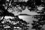 Glandore