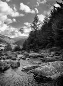 Wicklow image