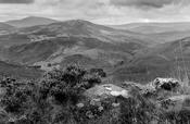 Wicklow image