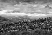 Wicklow Wall image