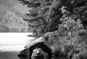 Wicklow image