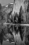 Yosemite Reflections